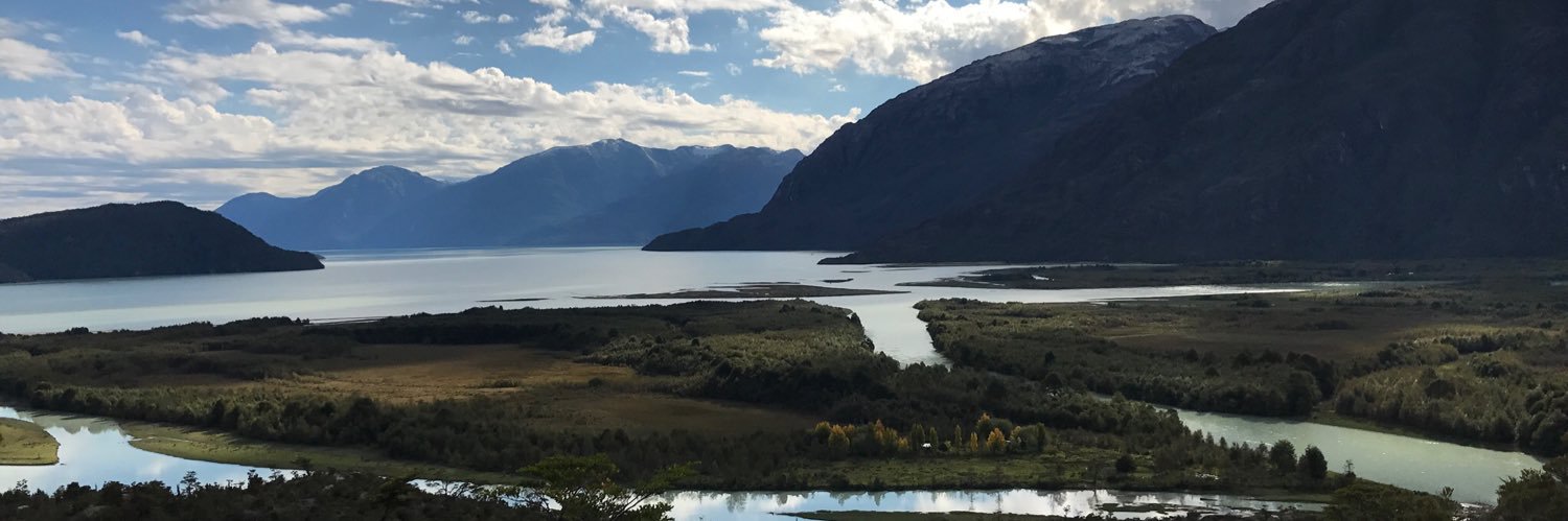 Roxana Pey Tumanoff 🇵🇸 banner