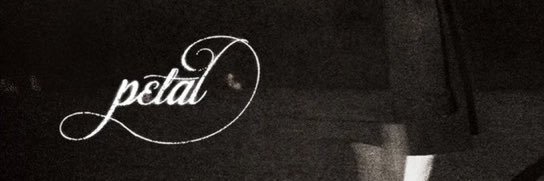 Get Well Soon ꕤ banner