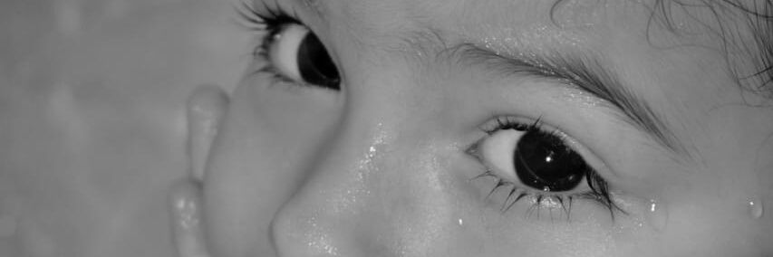 camibenedek's profile banner image