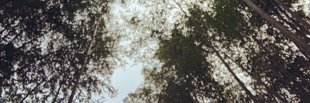 feywords's profile banner image