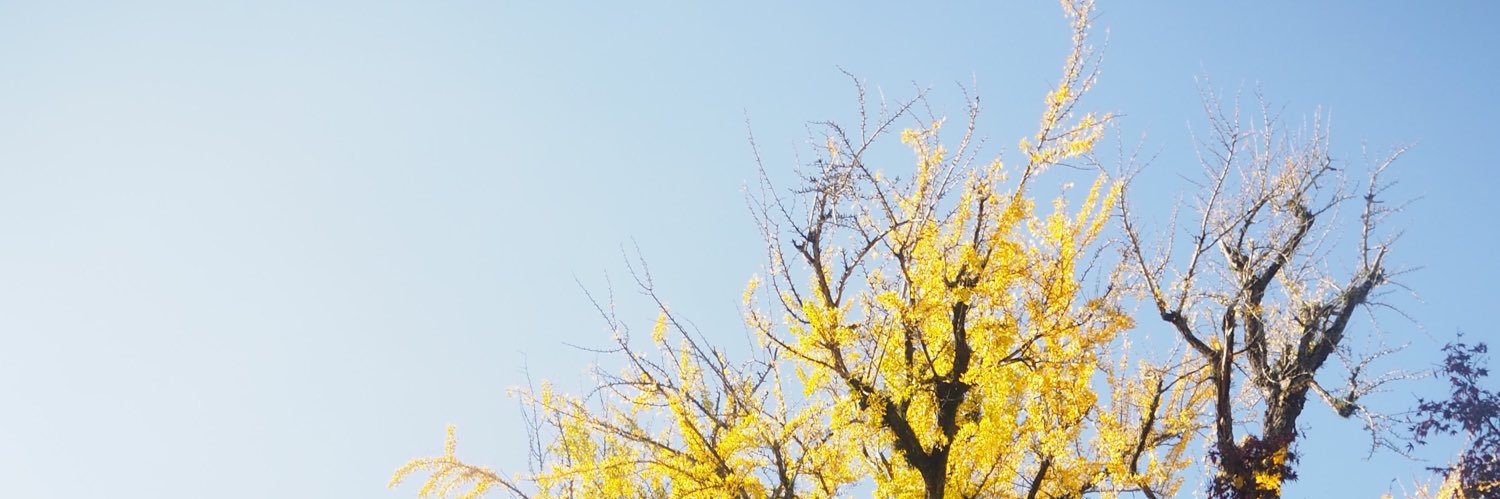 arinomamade_kan's profile banner image