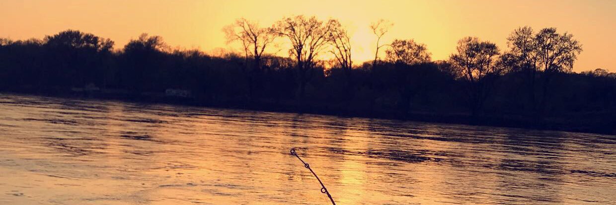 McCarty_00's profile banner image