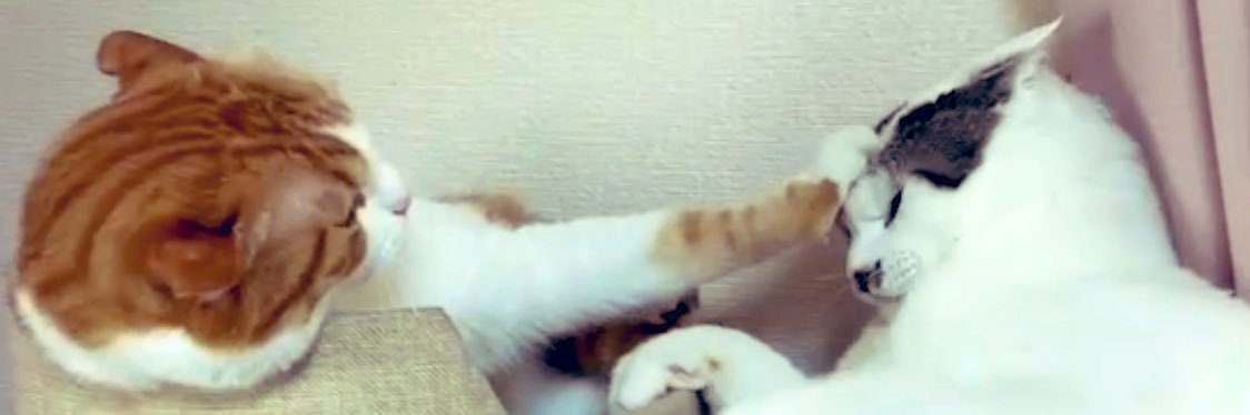 にゃもすん banner