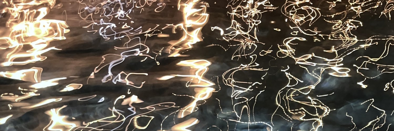 snflwrbeam's profile banner image