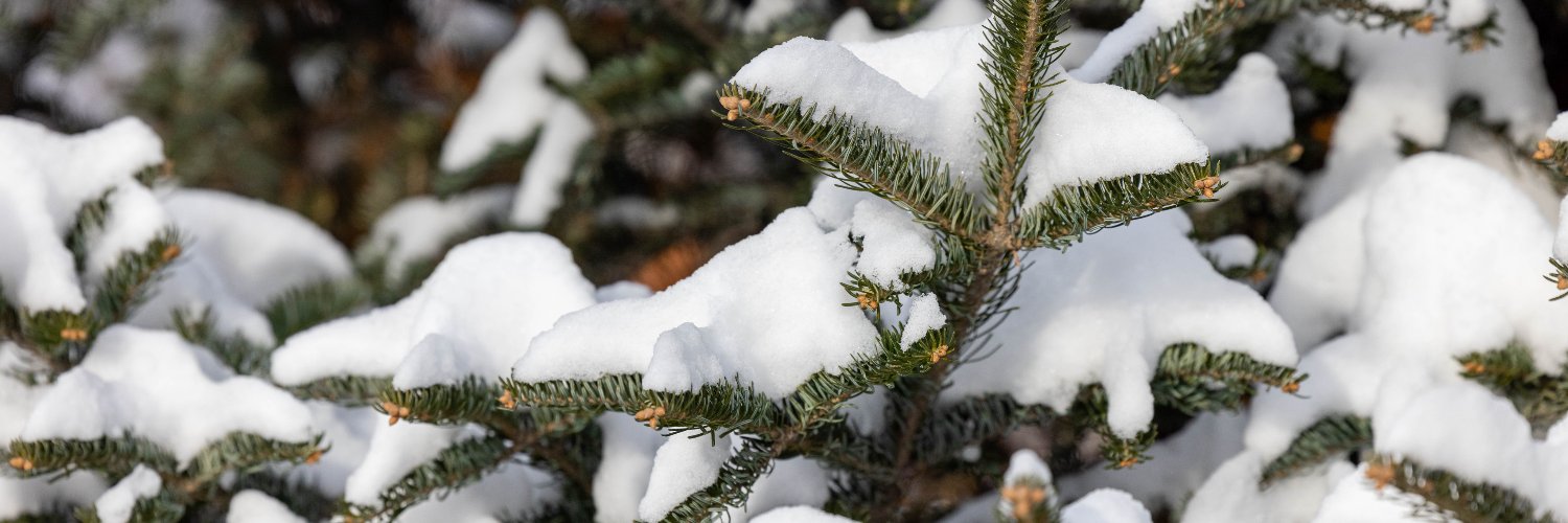 Washington County MN banner