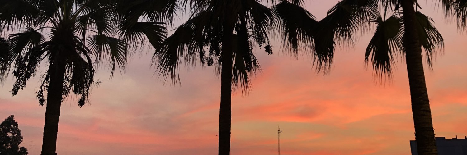 ditamirr's profile banner image