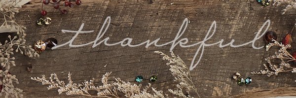 Michelle Kreinbrook banner