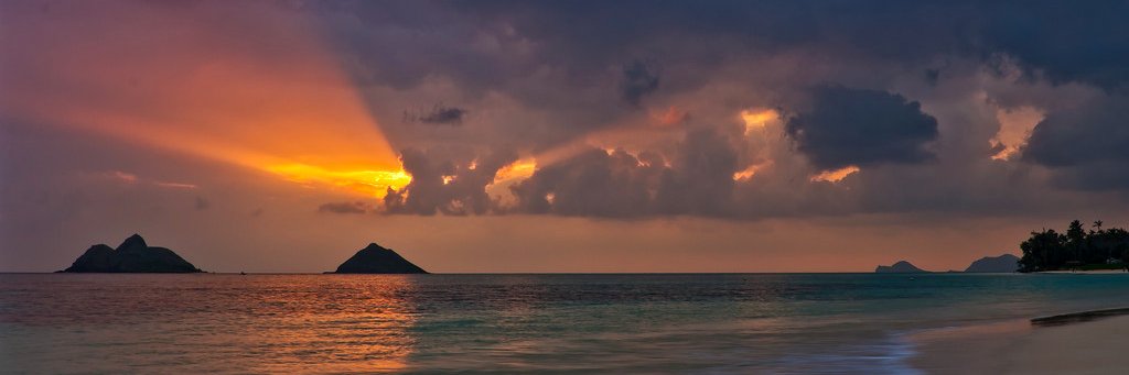 Asset CΩwboy () banner