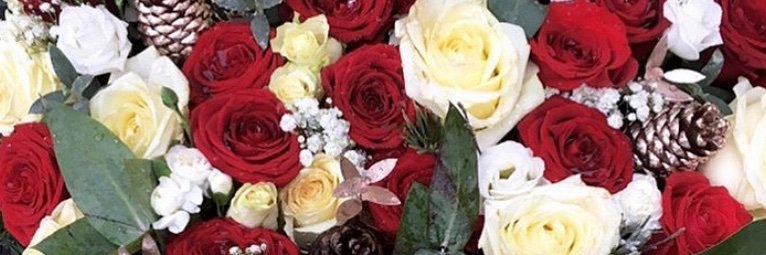 Dimplesxx__'s profile banner image