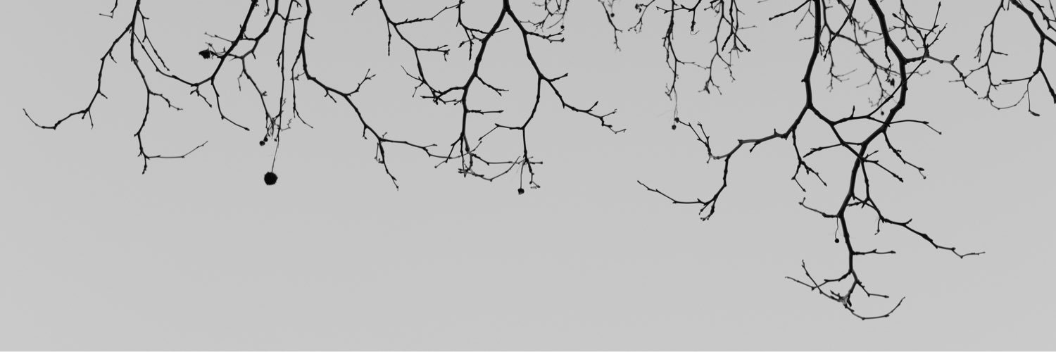 docgator100's profile banner image