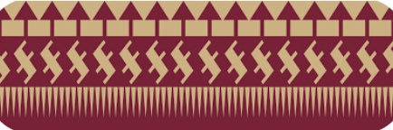 Steve banner