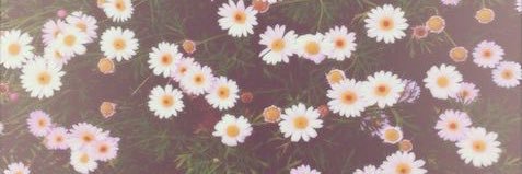 KristinMarieCA's profile banner image