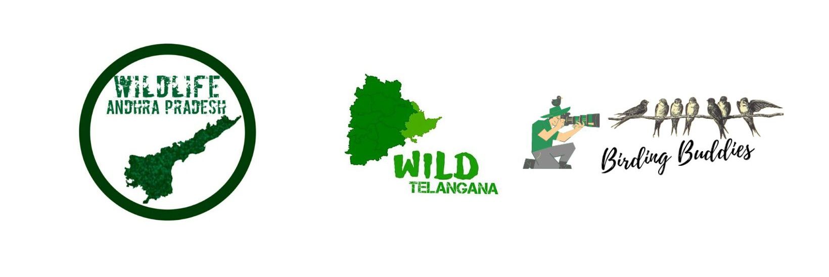 VWOLFS Foundation banner