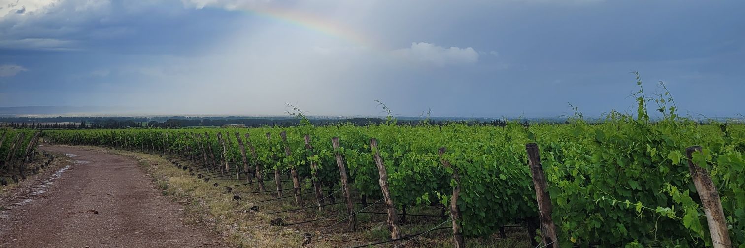 Marcos Fontana banner