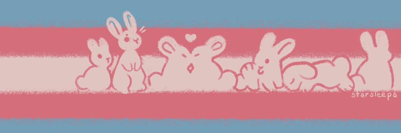 ⚧︎ LEER FIJADO 📌 banner