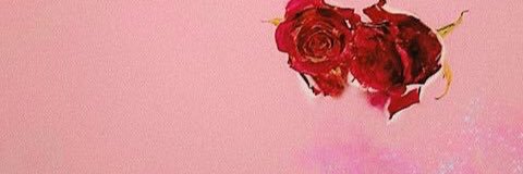 niallstarbcks's profile banner image