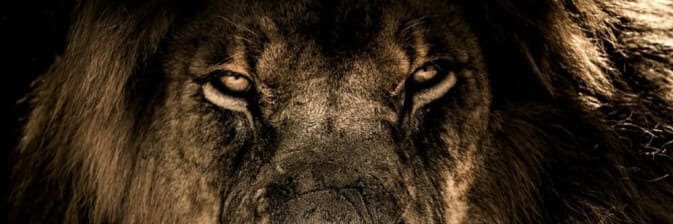 SkiTop2Botm's profile banner image