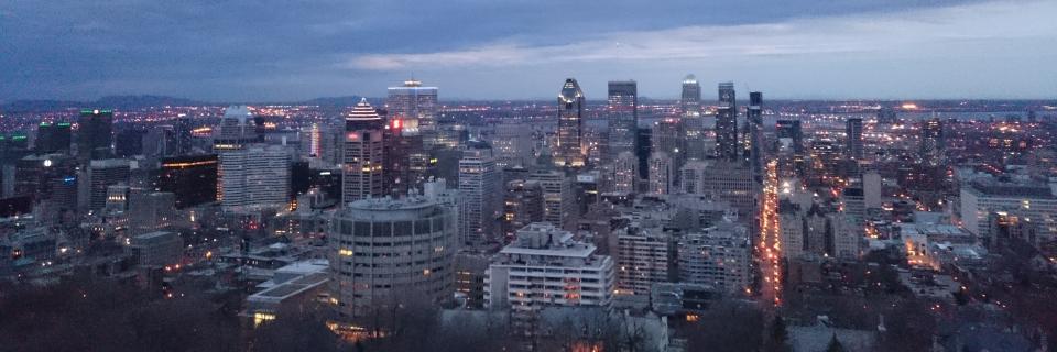 MargO_Dsh's profile banner image