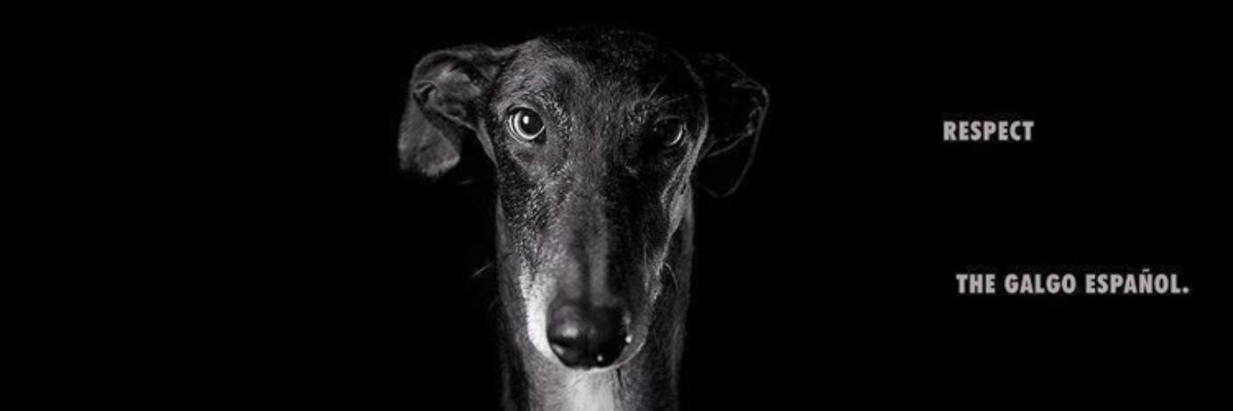 🔫 🇺🇸👁VILLDOC👁🇺🇸 banner