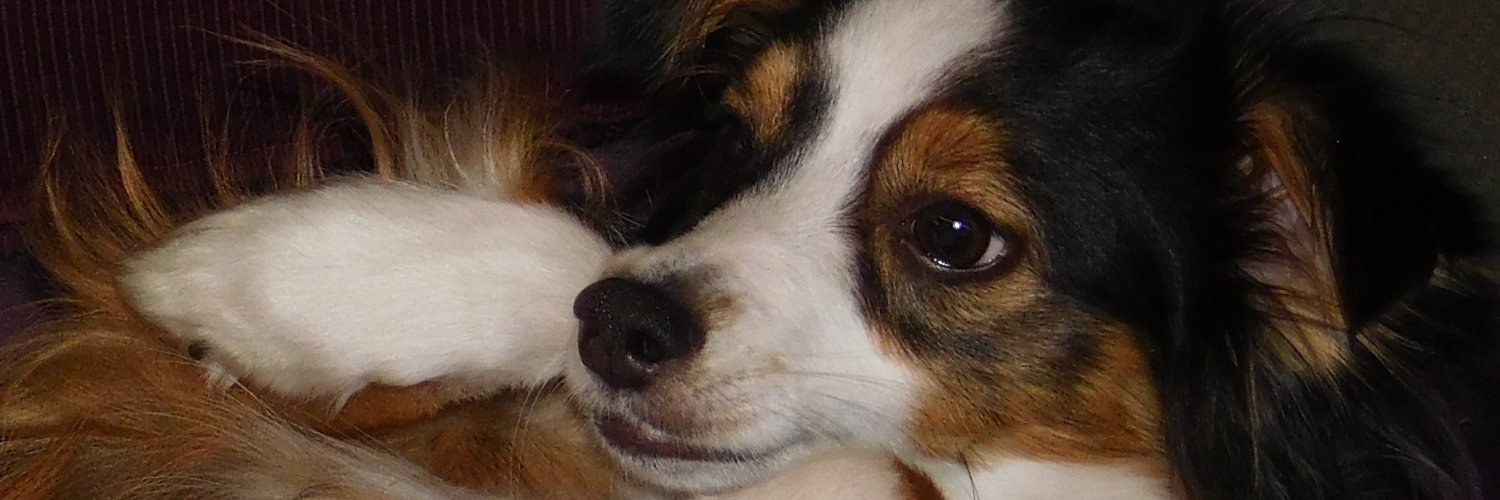 CO Crystalberry✨ReikiMaster🕉️ banner