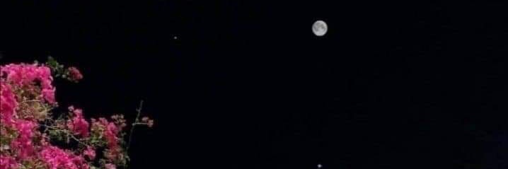 didaalobidy's profile banner image
