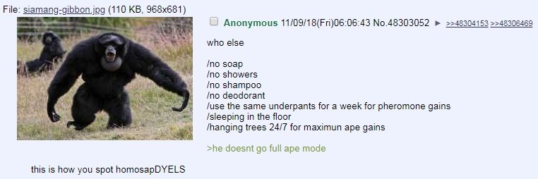 Bigmode Groyper banner