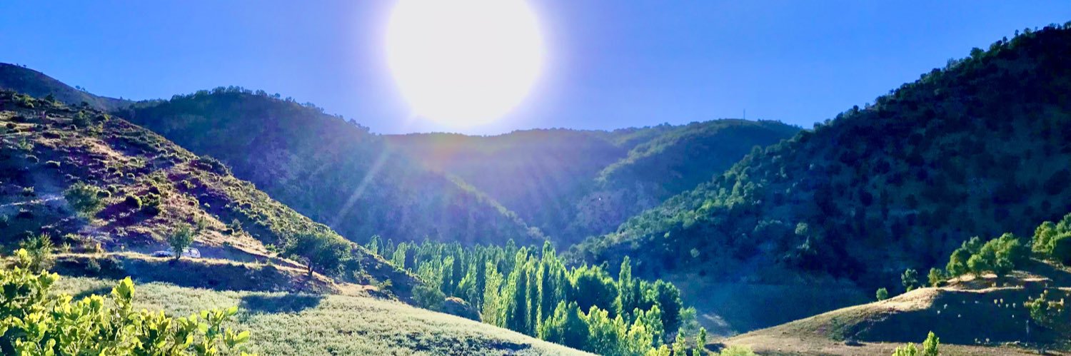 🇹🇷 Süleyman Demir 🇹🇷 banner