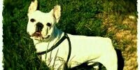 manuelsecades's profile banner image