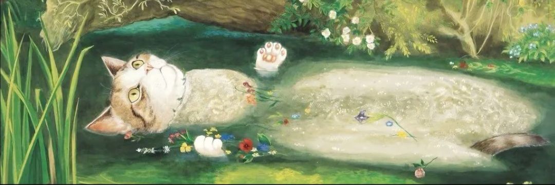 wilambel's profile banner image