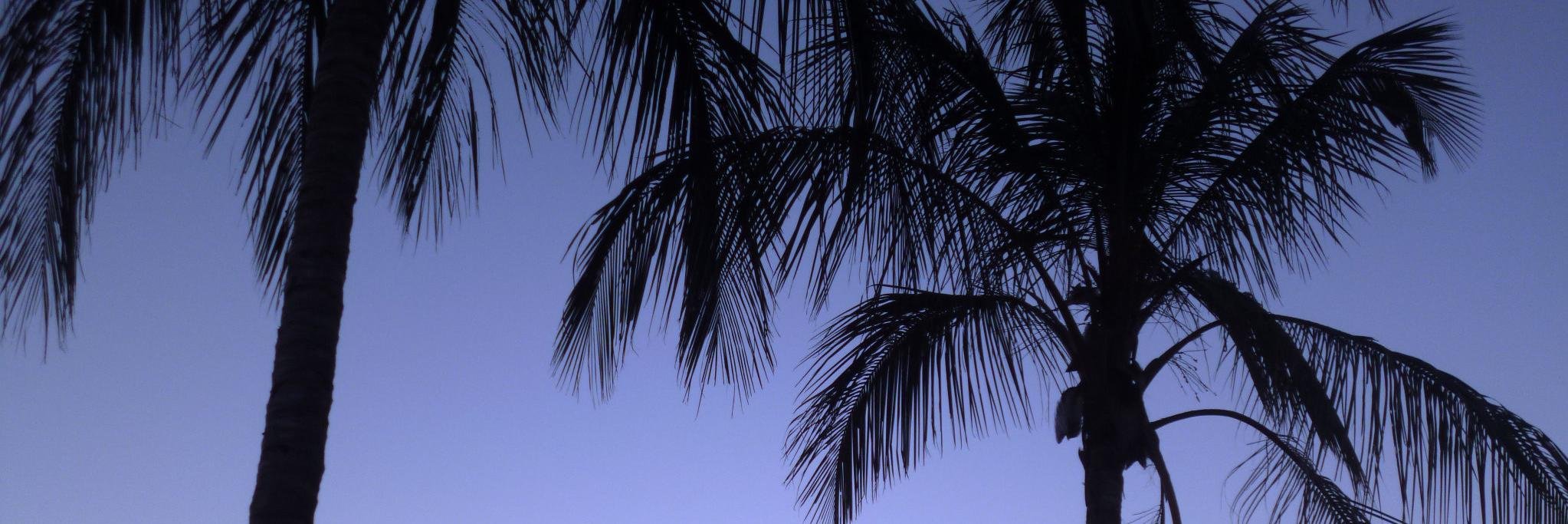 DiullyGomes's profile banner image