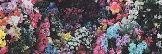 Uleanochka_mur's profile banner image