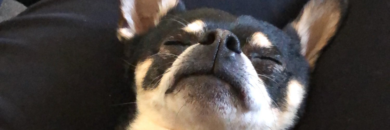 _bettybee_'s profile banner image