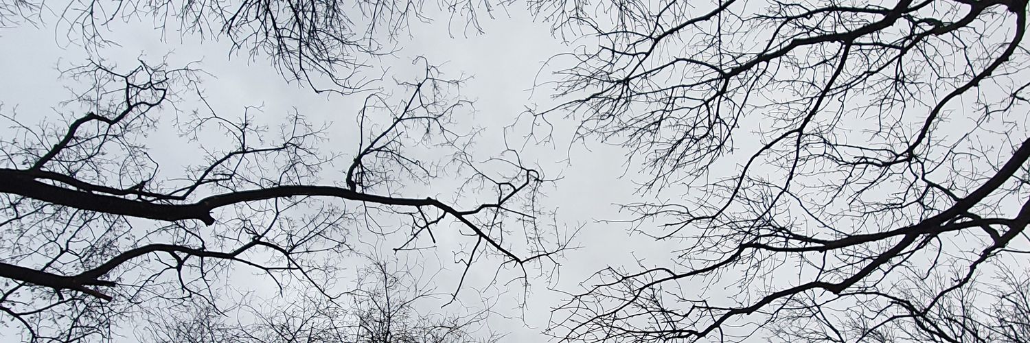 heydontblink's profile banner image