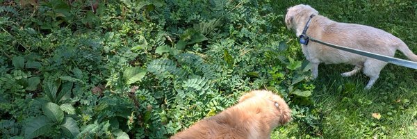 acjuelich Profile Banner