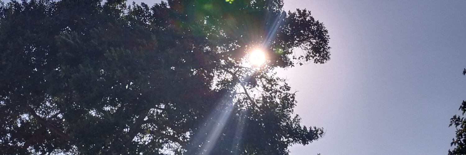 سَيْلٌ/ سلسبيلا في روايةٍ أخرى:) banner