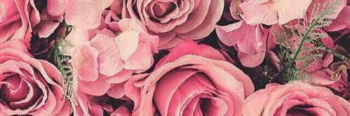 lizvicmic's profile banner image