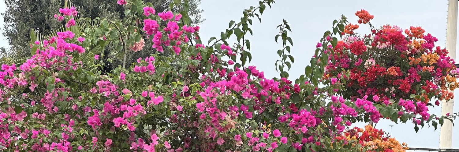swt_sunsh's profile banner image