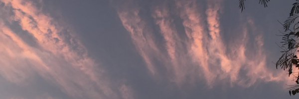 salmonelliee Profile Banner