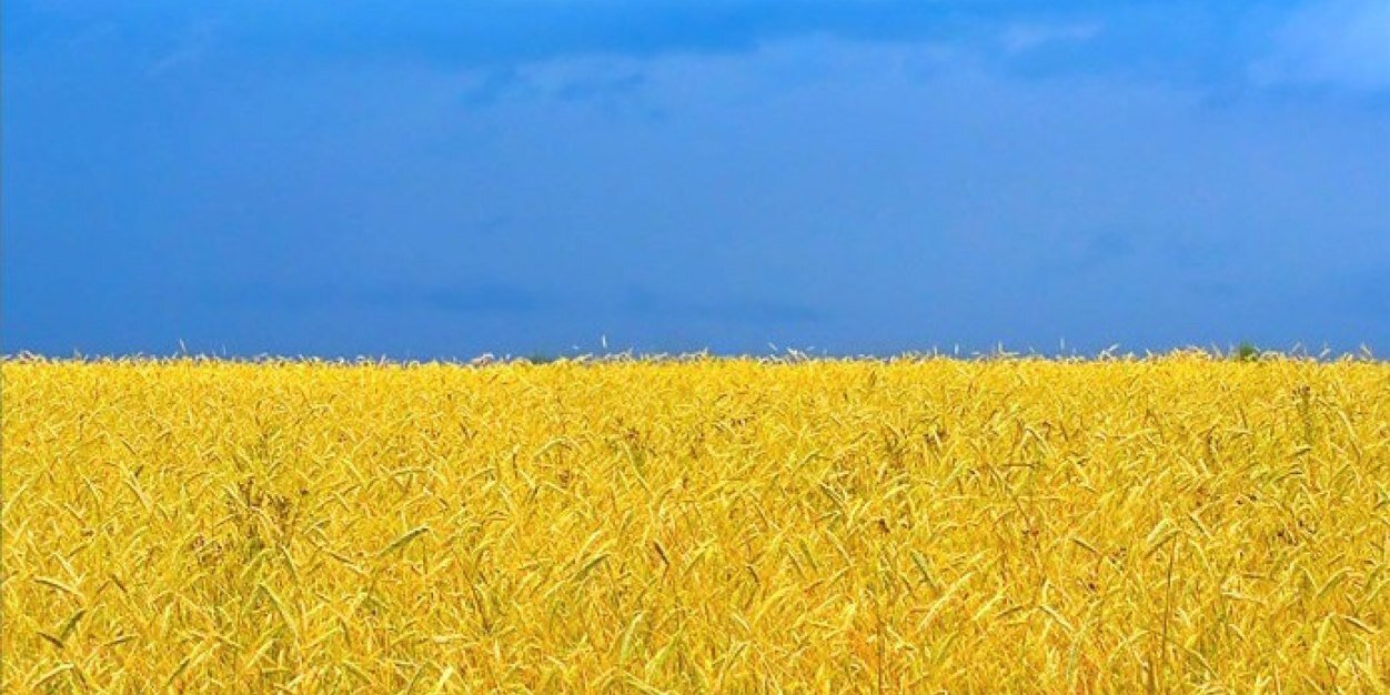 dimacostoso's profile banner image