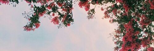 Nerocrayon's profile banner image