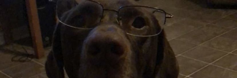chanwhitt34's profile banner image