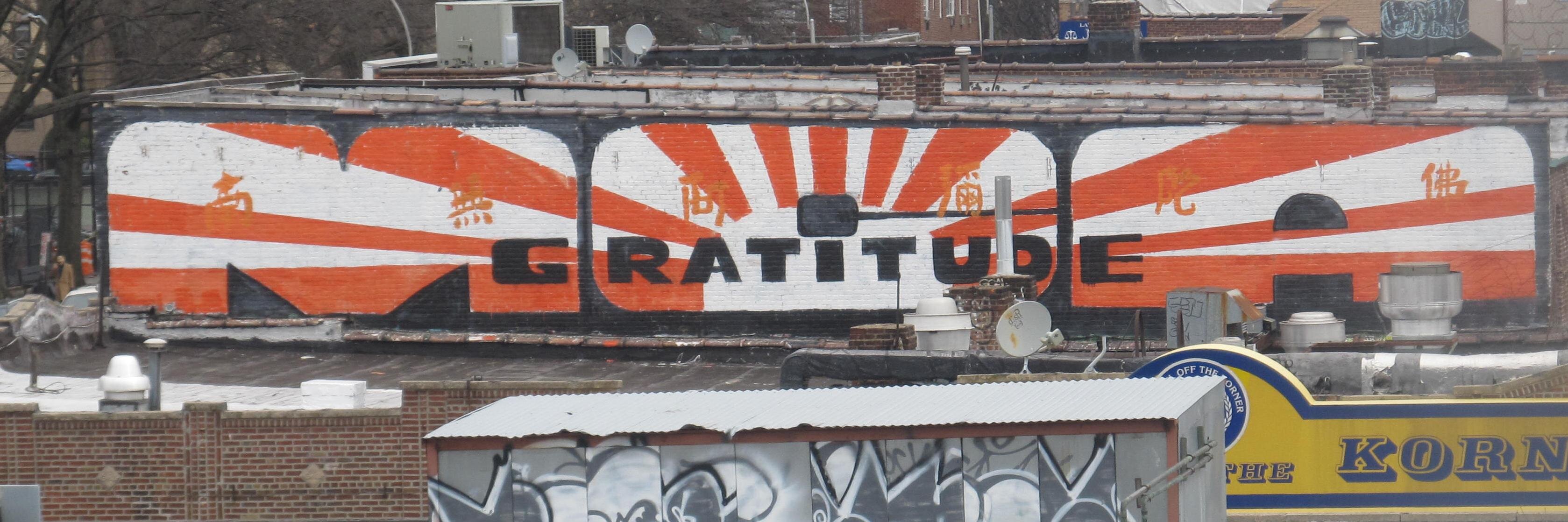 stephapelvis's profile banner image