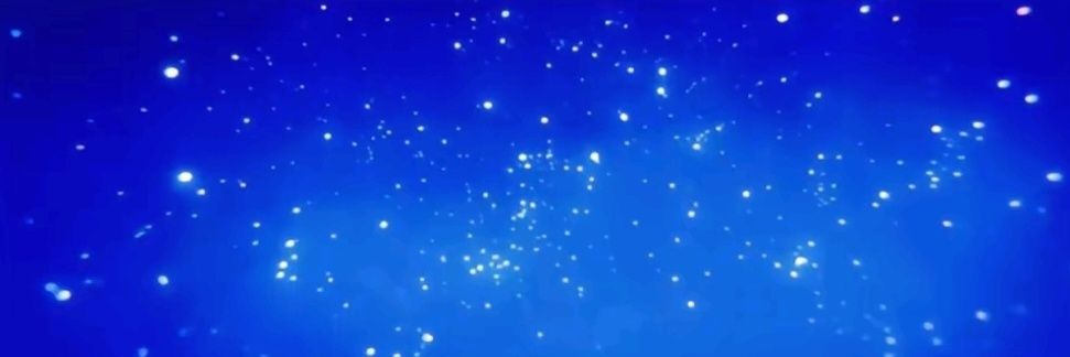 ☆Bones☆ banner