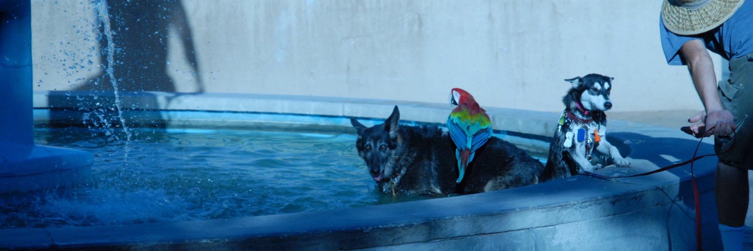 The Blowhole Innocence Project (@sasshole) / Posts / X