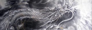 st222238's profile banner image