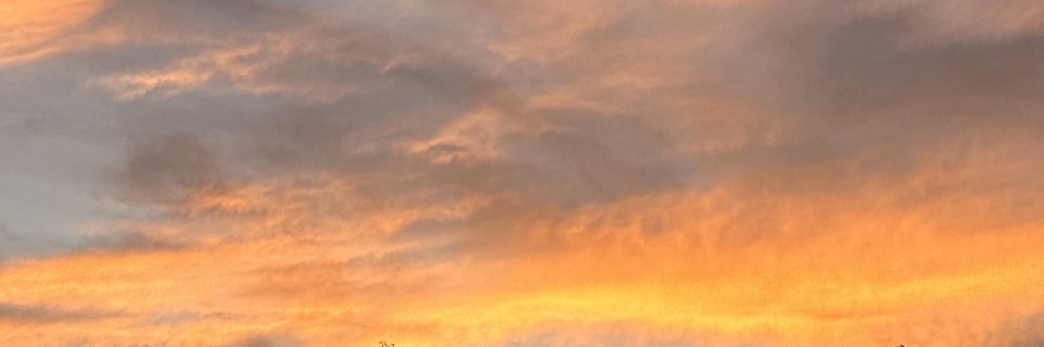 aljsylvia's profile banner image