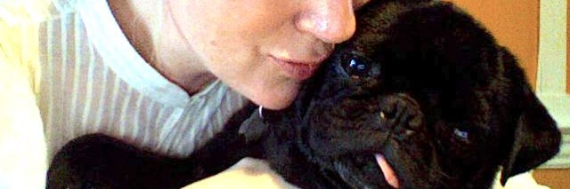 Ridley (the pug) banner