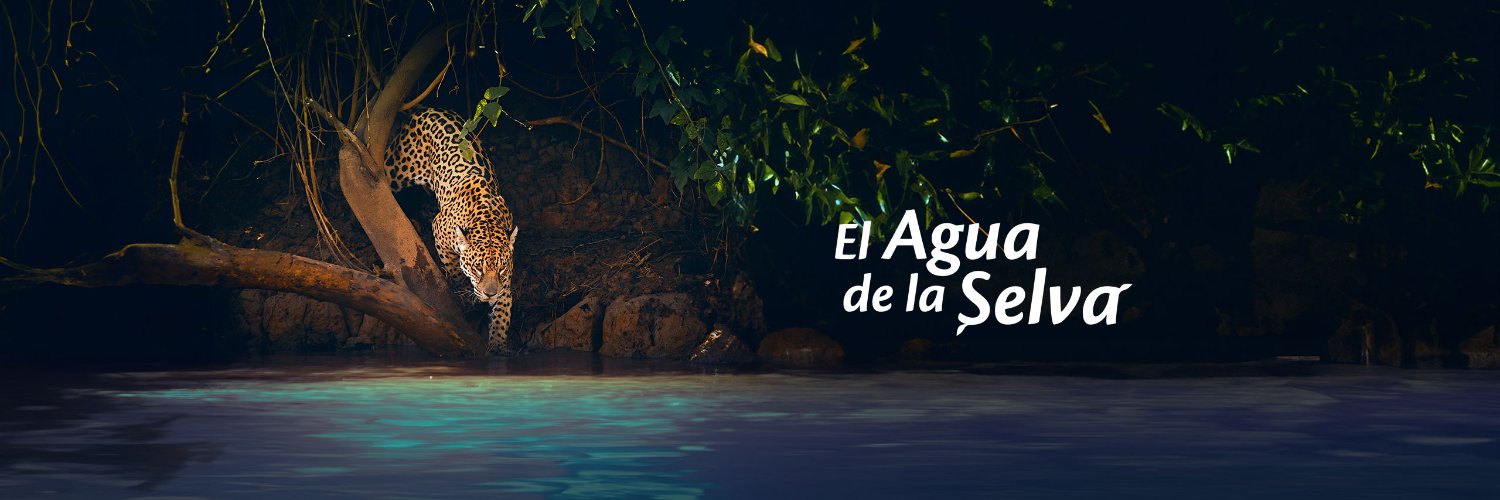 Agua de las misiones banner