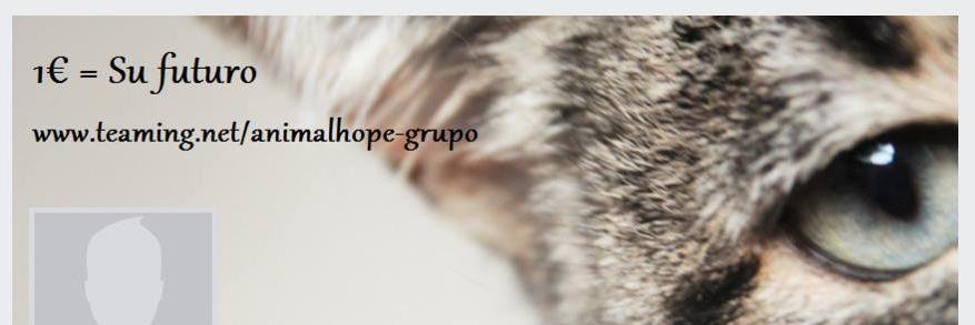 Animalhopespain's profile banner image