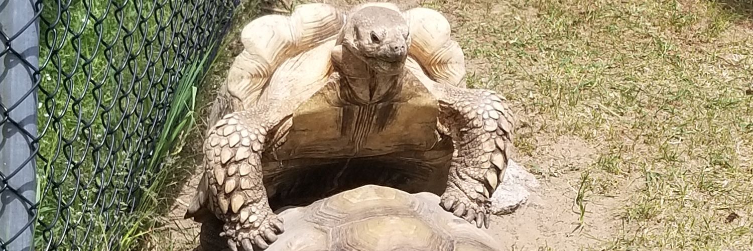 lemiwinks55's profile banner image